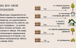 Можно ли ставить глухой забор у соседей?