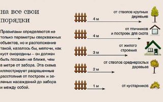 Можно ли ставить глухой забор у соседей?