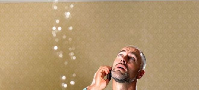 Куда обращаться, если топят соседи сверху?