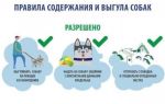Какие положения закона о выгуле собак?