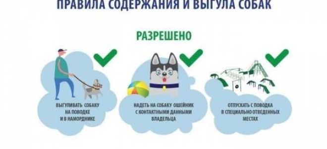 Какие положения закона о выгуле собак?