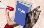 Куда звонить, если шумят соседи ночью?