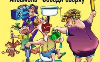Как избавиться от соседских кур?