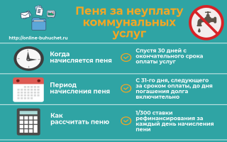 Какие сроки оплаты коммунальных платежей?