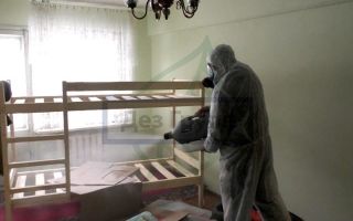 Что делать, если у соседей клопы?