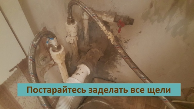 От соседей ползут тараканы: что делать, если лезут насекомые, куда жаловаться и нужно ли обращаться в СЭС, чем отпугнуть приходящих после травли паразитов?