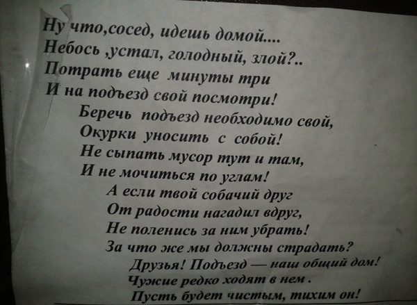 Соседи оставляют мусор в подъезде: что делать, если выставляют его за дверь на лестничную площадку или выбрасывают из окна, как по закону заставить убрать?