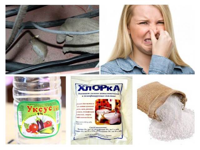 Едкий запах в квартире: откуда может быть?