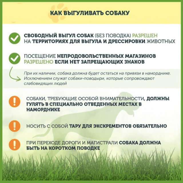 Площадка для выгула собак: основные нормы и правила, как организовать