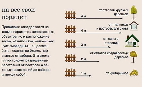 Глухой забор между соседями в частном секторе: можно ли ставить, каким должен быть, как определить чей забор