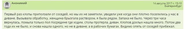 Что делать, если у соседей клопы: куда жаловаться, как защитить свою квартиру