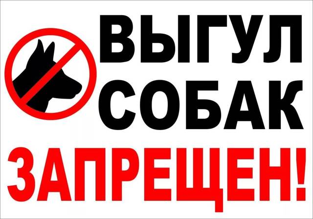 Список собак для выгула в наморднике: поправки в законодательстве, ответственность, куда жаловаться