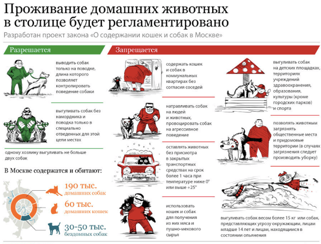 Площадка для выгула собак: основные нормы и правила, как организовать