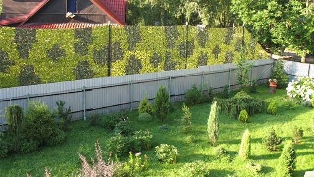 Какое расстояние должно быть от дома до забора соседей: требования, ответственность